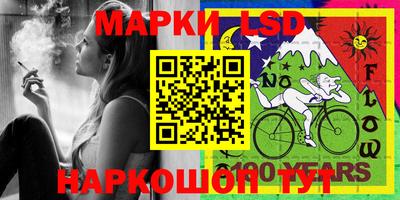 дмт Кингисепп