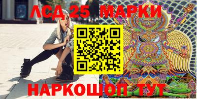 дмт Кингисепп