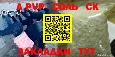 дмт Кингисепп