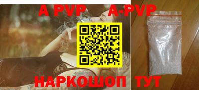 дмт Кингисепп