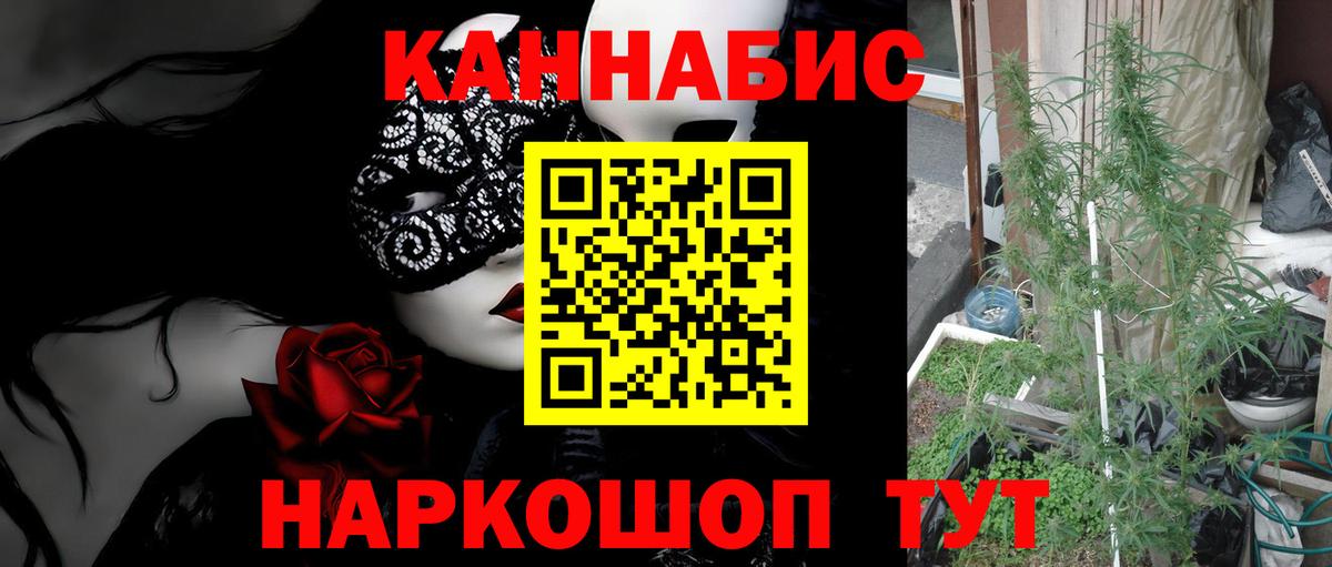 Бошки марихуана Ganja Костомукша